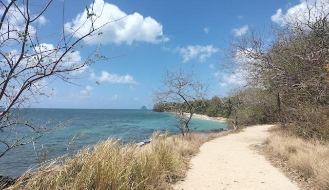 Felix, T2 Acces Plage Gros-Raisins Sainte-Luce Exterior foto